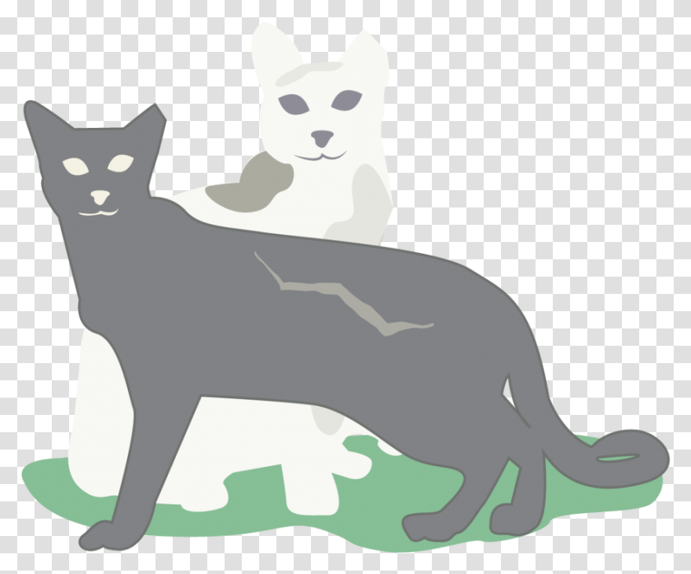 Icehouse Discoverygreen Cat Ej3epv Black Cat, Mammal, Animal, Pet, Angora Transparent Png