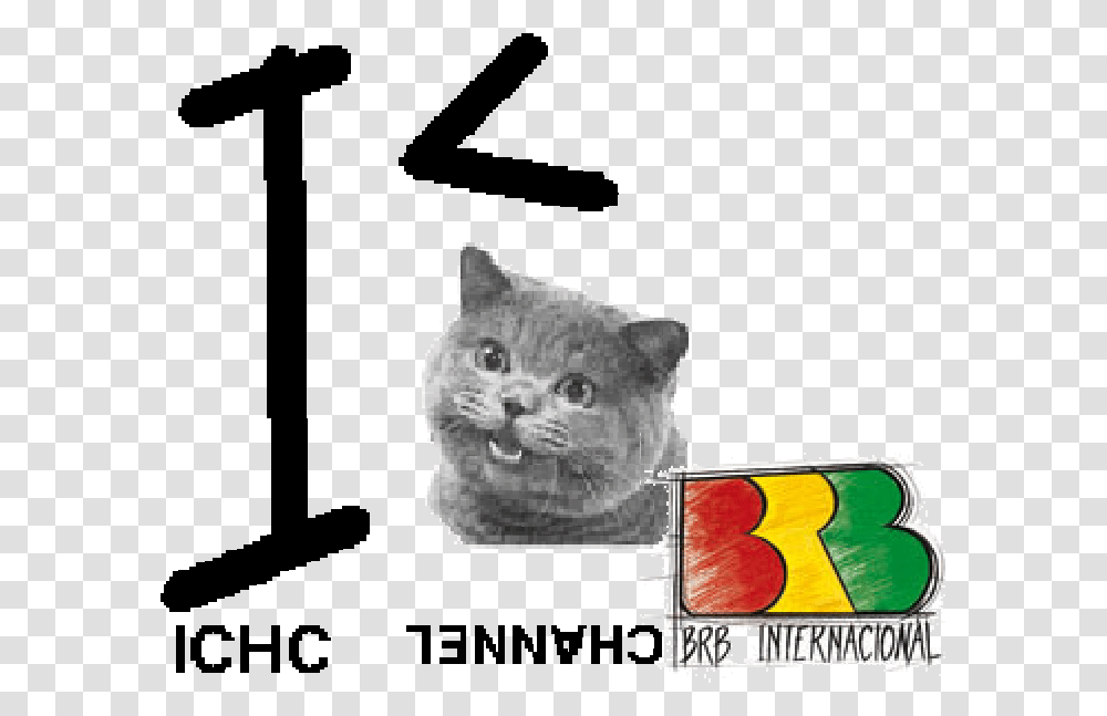 Ichc Channel Brb Internacional Logo New Did This Get Here I Not Good, Pet, Animal, Cat, Mammal Transparent Png
