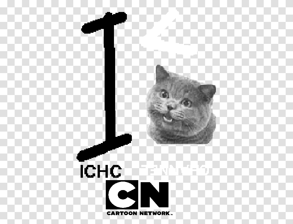 Ichc Channel Cartoon Network Logo Cartoon Network Logo 2011, Kitten, Cat, Pet, Mammal Transparent Png