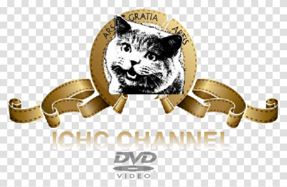 Ichc Channel Dvd Logo, Poster, Advertisement, Flyer, Paper Transparent Png