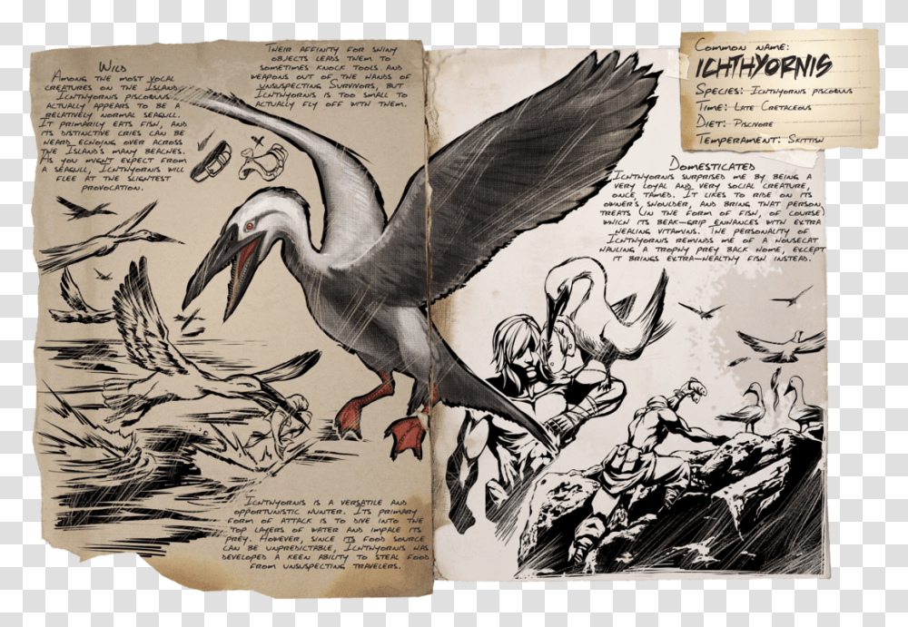 Ichthyornis Ark, Bird, Animal, Book Transparent Png