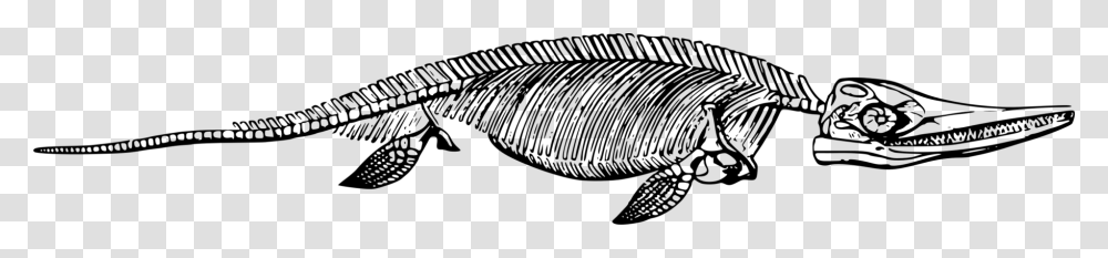 Ichthyosaurus Fossil Clipart, Gray, World Of Warcraft Transparent Png