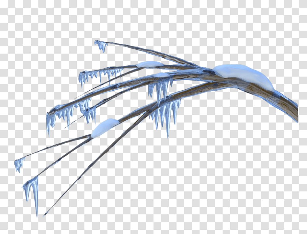 Icicles Images, Bird, Animal Transparent Png