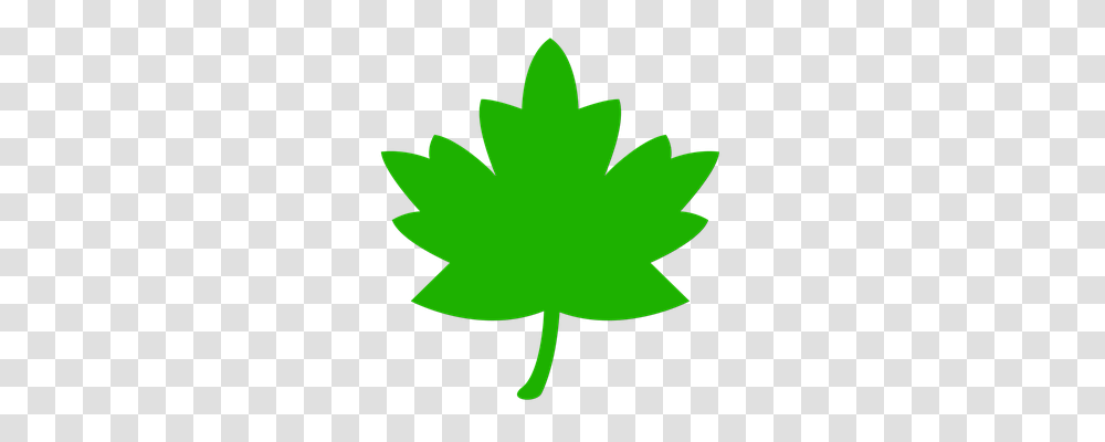 Icon Nature, Leaf, Plant, Maple Leaf Transparent Png