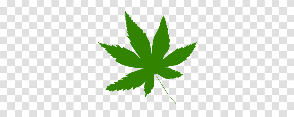 Icon Leaf, Plant, Green, Weed Transparent Png