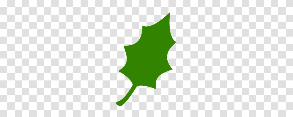 Icon Leaf, Plant, Person Transparent Png