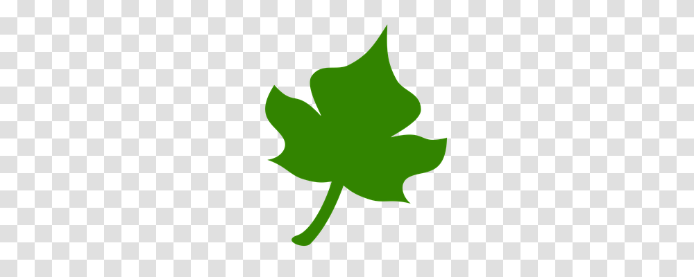 Icon Leaf, Plant, Maple Leaf, Person Transparent Png