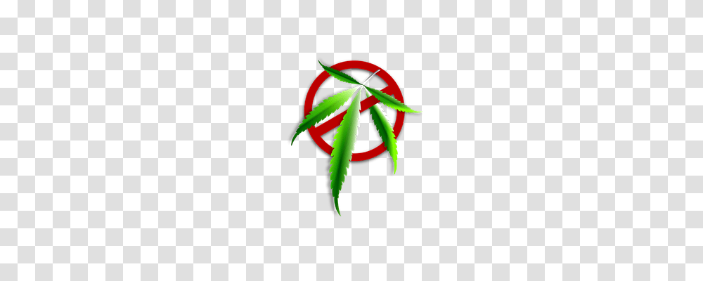 Icon Plant, Leaf, Aloe, Weed Transparent Png