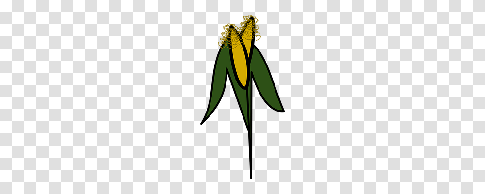Icon Plant, Green, Flower, Food Transparent Png