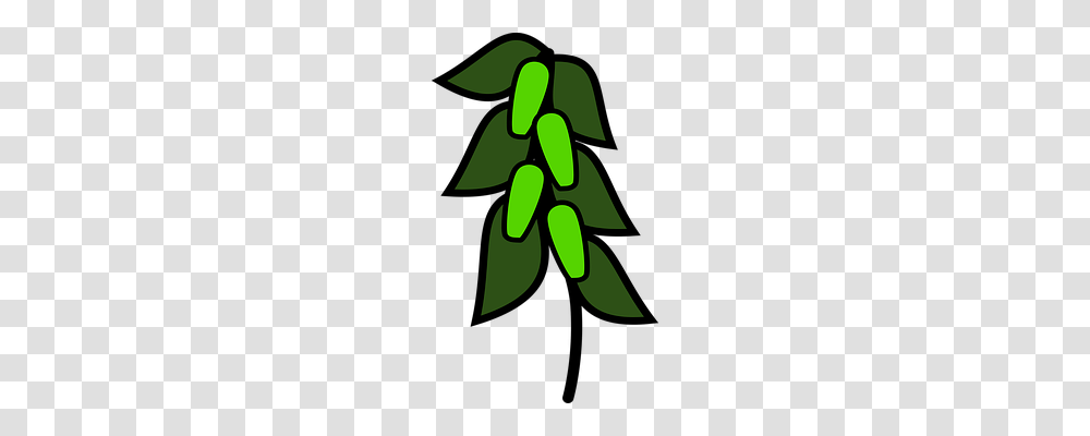 Icon Plant, Green, Seed, Grain Transparent Png