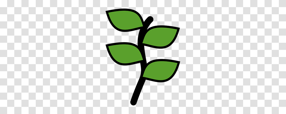 Icon Green, Leaf, Plant Transparent Png