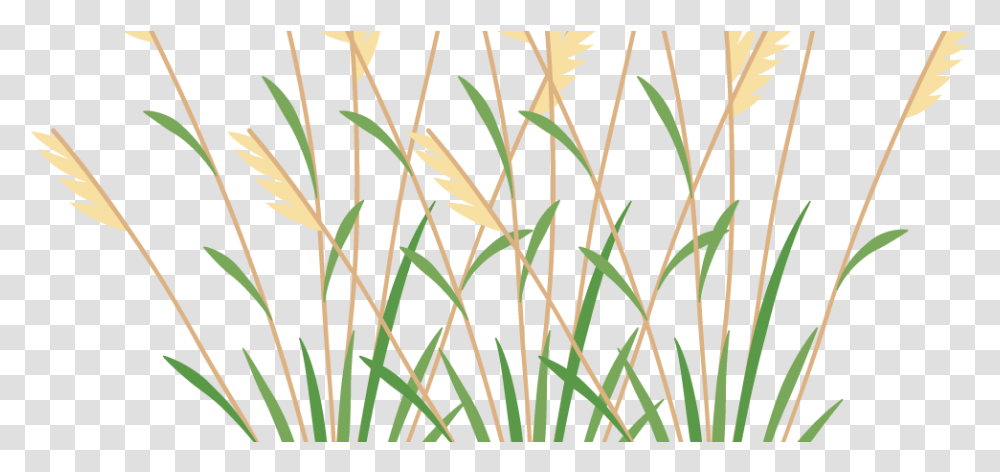 Icon 2 Weeds Weeds Clipart, Grass, Plant, Lawn, Reed Transparent Png