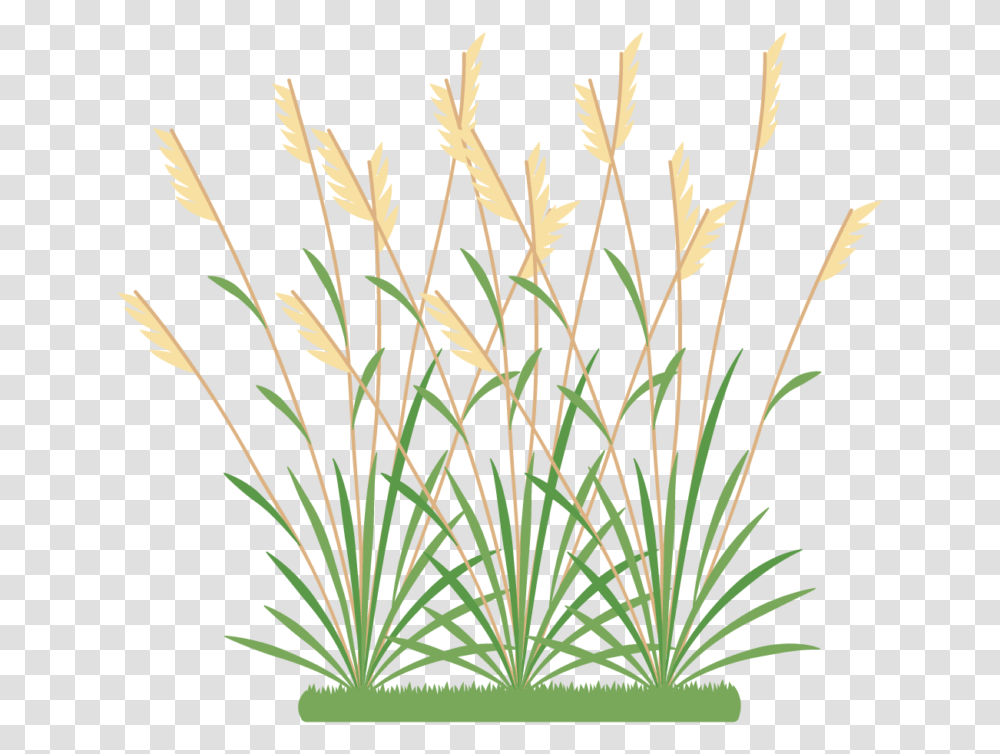 Icon 2 Weeds Weeds Clipart, Grass, Plant, Lawn, Reed Transparent Png
