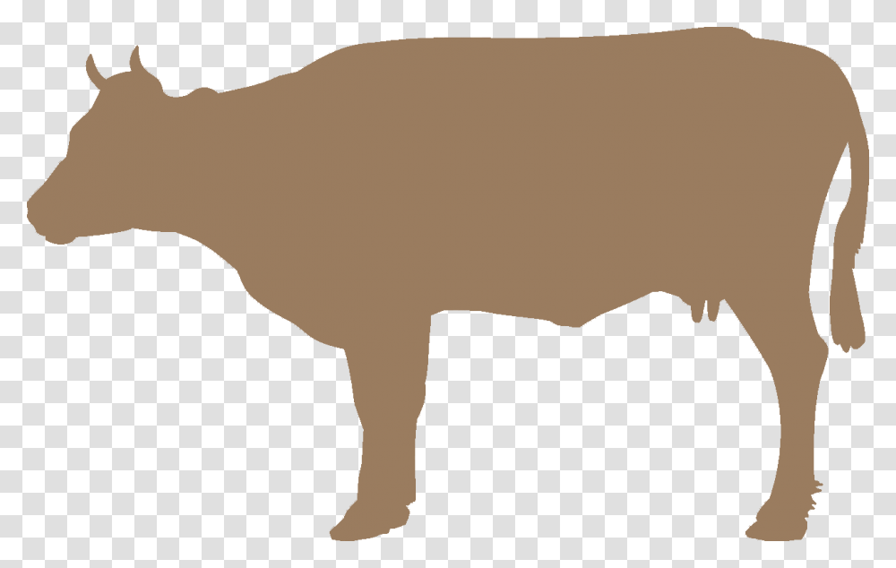 Icon Beef, Bow, Mammal, Animal, Saddle Transparent Png