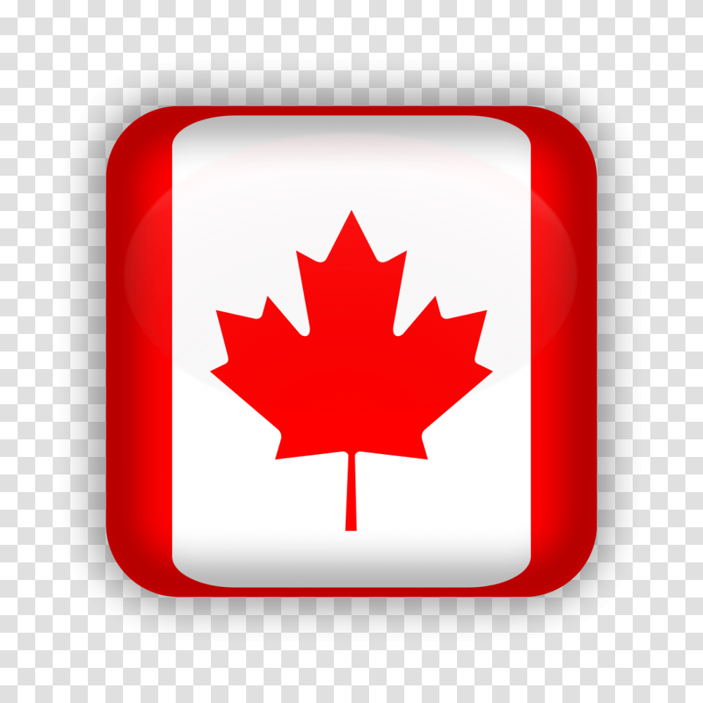 Icon Canada, Leaf, Plant, First Aid, Tree Transparent Png