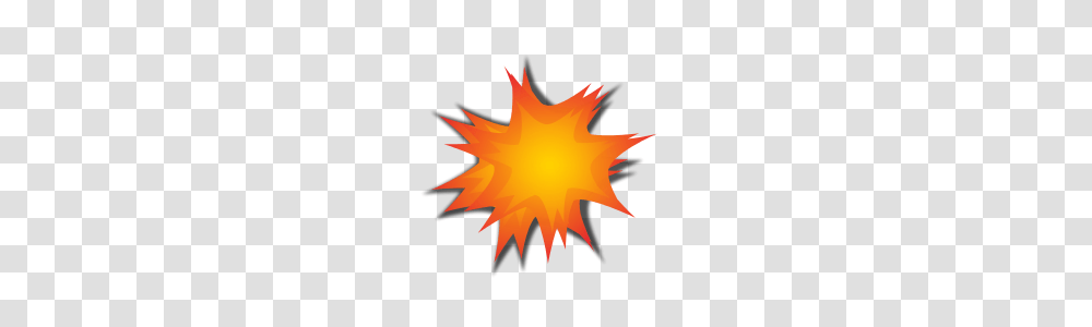 Icon Explosion, Leaf, Plant, Tree, Maple Leaf Transparent Png