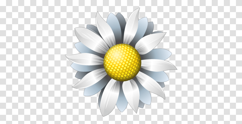 Icon Flower 1 Image Whote Flower Icon, Plant, Daisy, Daisies, Blossom Transparent Png