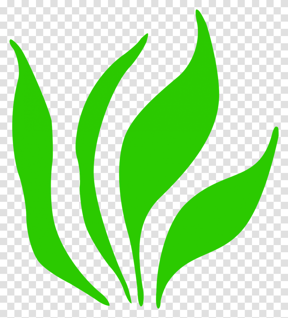 Icon Grass Grasses Bloom Green Crop, Plant, Graphics, Art, Floral Design Transparent Png