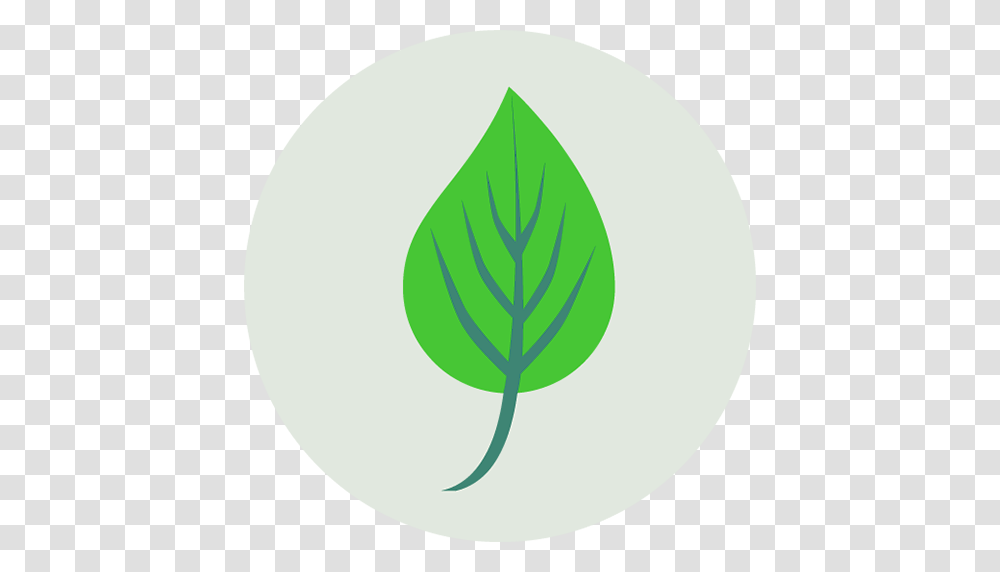Icon, Green, Plant, Leaf Transparent Png