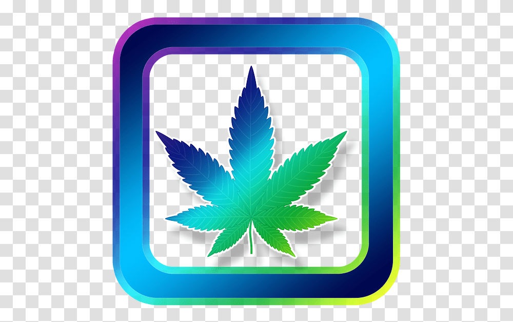 Icon Hemp Cannabis Medical Medicine Grass Art Ganja Weed, Leaf, Plant, Bird, Animal Transparent Png