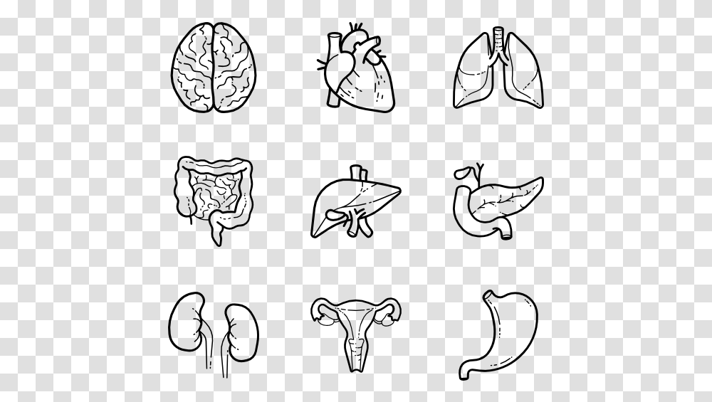 Icon Human Body Parts, Gray, World Of Warcraft Transparent Png