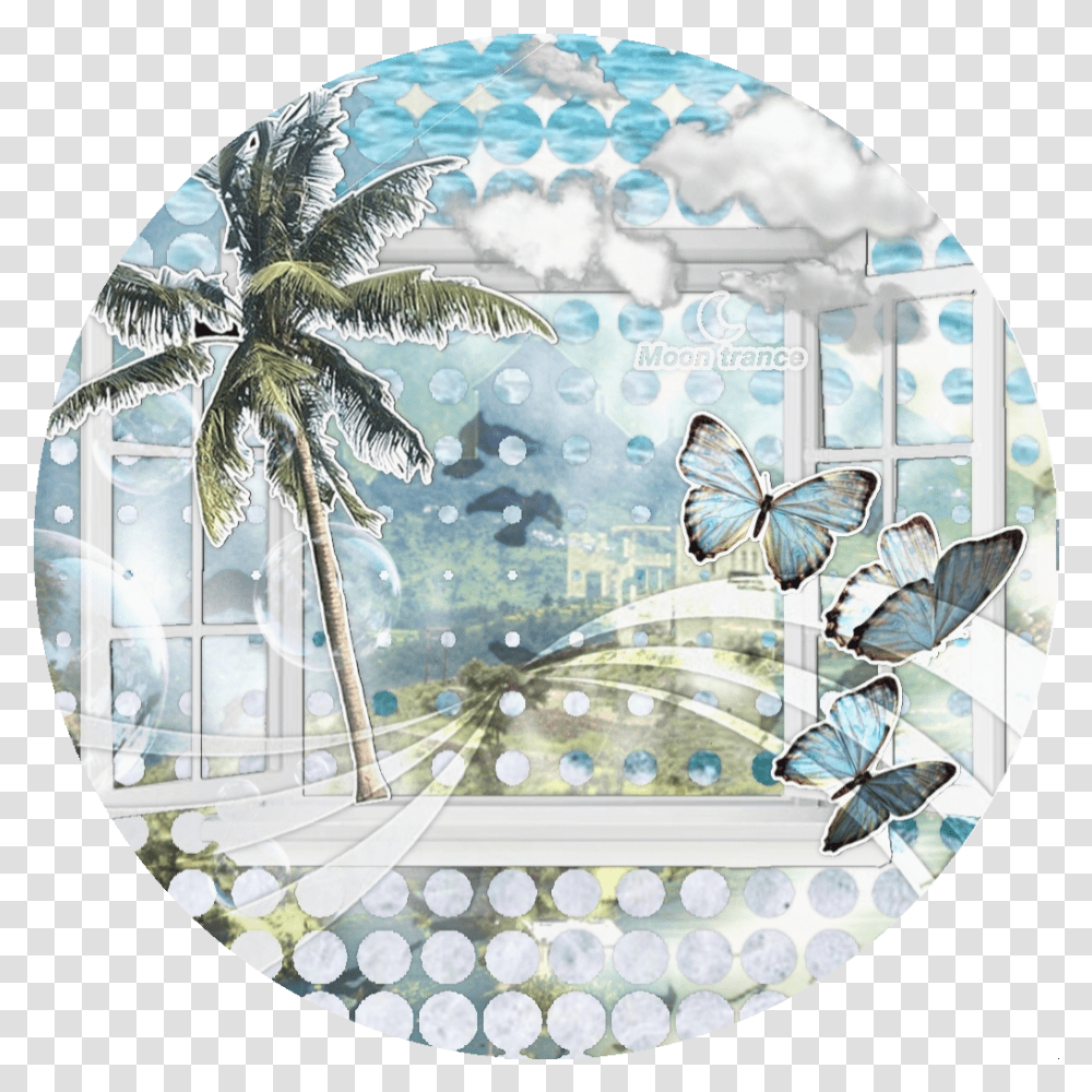 Icon Icons Iconbackground Sticker By Moonlight Decorative, Bird, Rug, Art, Painting Transparent Png