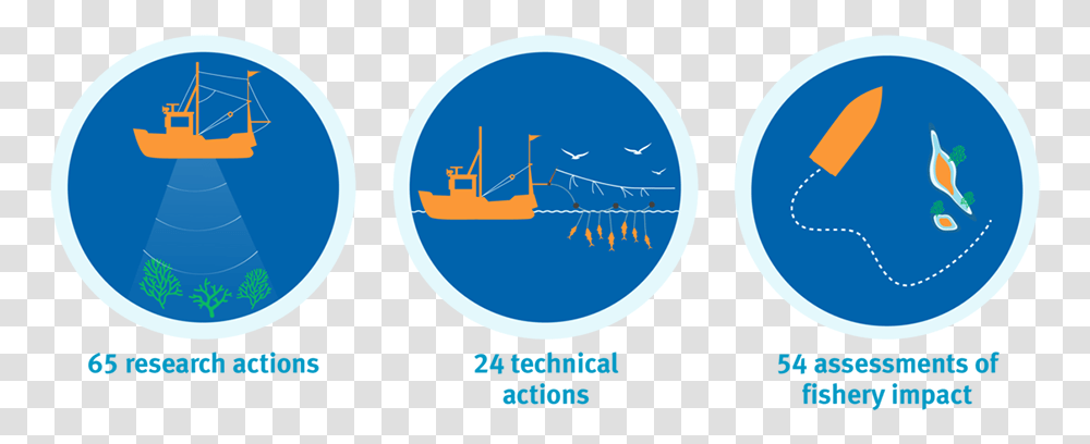 Icon Illustrations Showing Research Actions Technical Fishery Manage Icon, Logo, Trademark Transparent Png