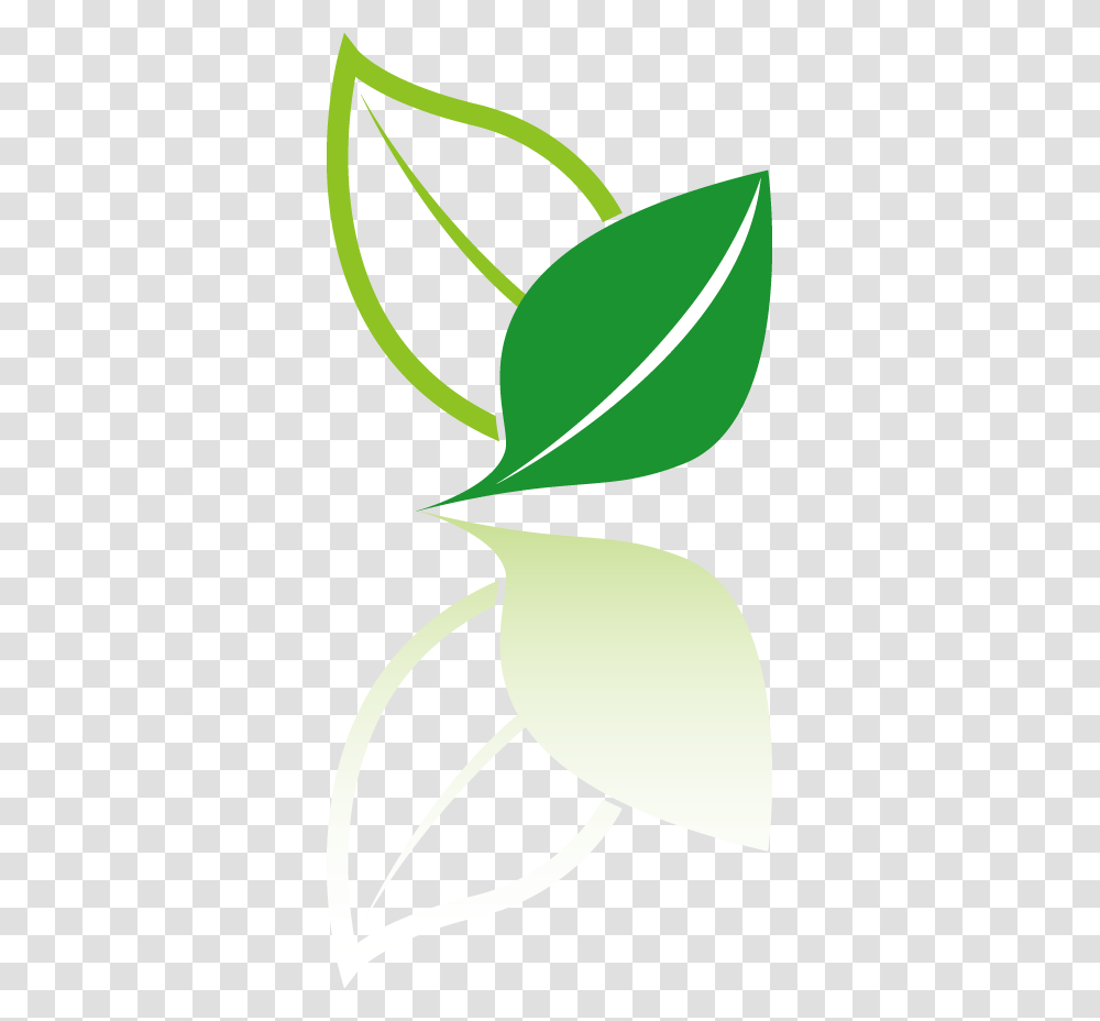 Icon, Leaf, Plant, Green Transparent Png