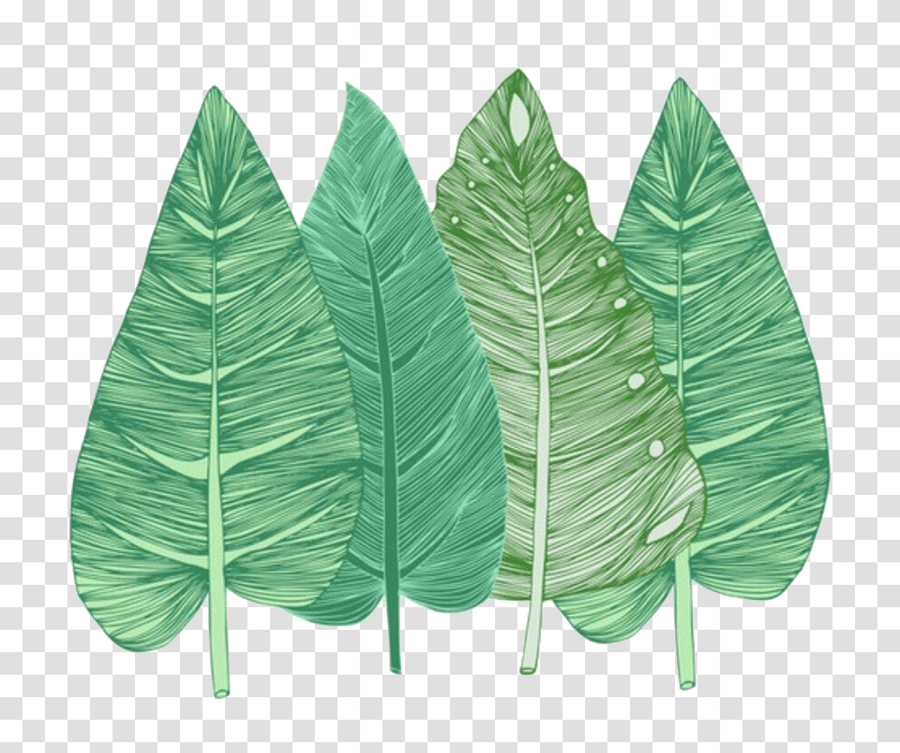 Icon, Leaf, Plant, Green Transparent Png