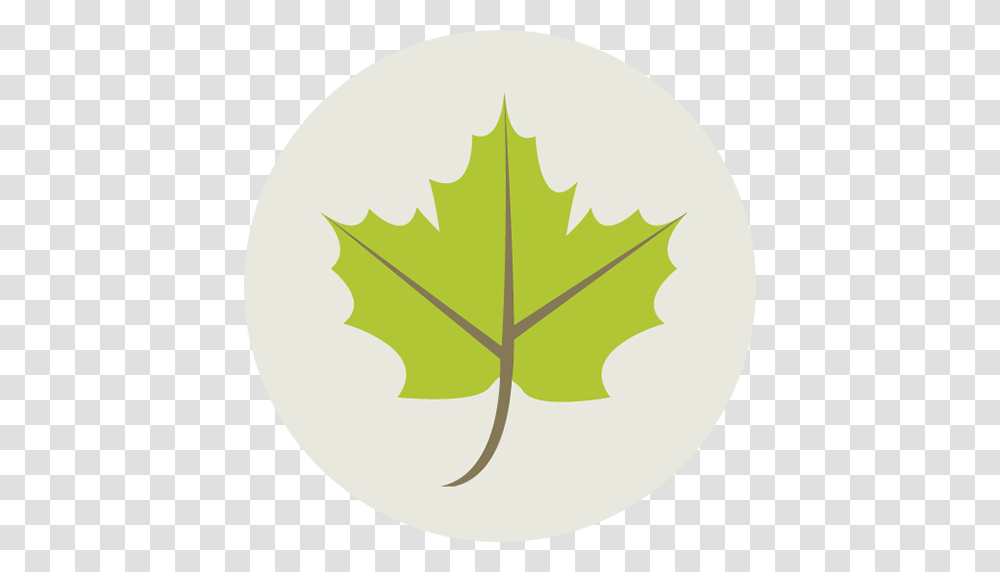 Icon, Leaf, Plant, Maple Leaf Transparent Png