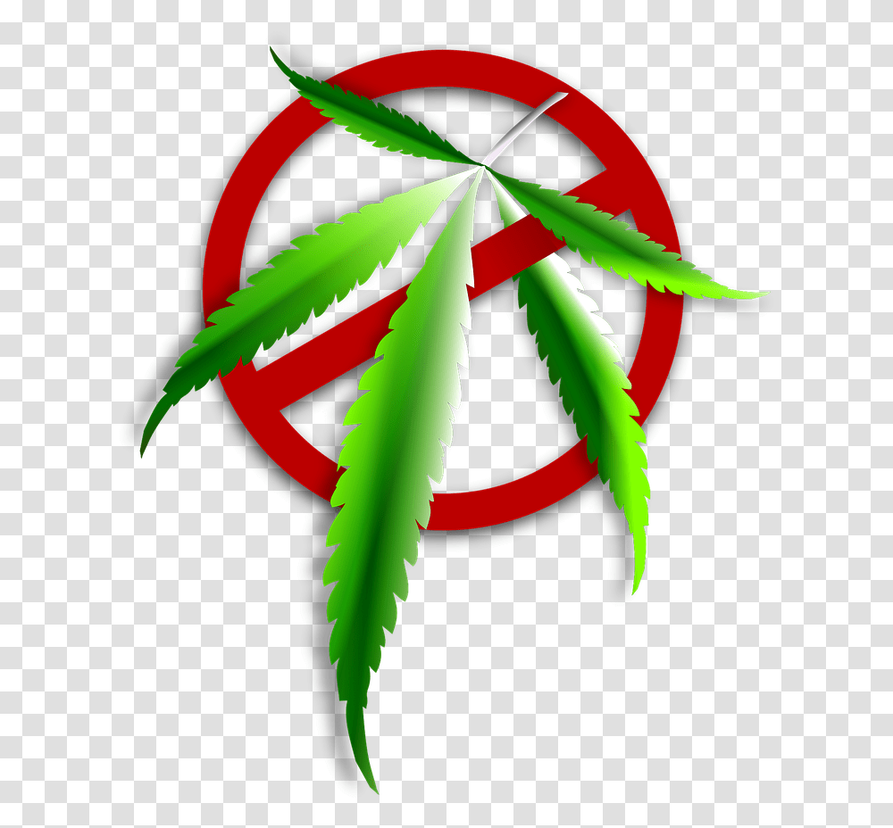 Icon Narkoba, Plant, Leaf, Weed, Bird Transparent Png