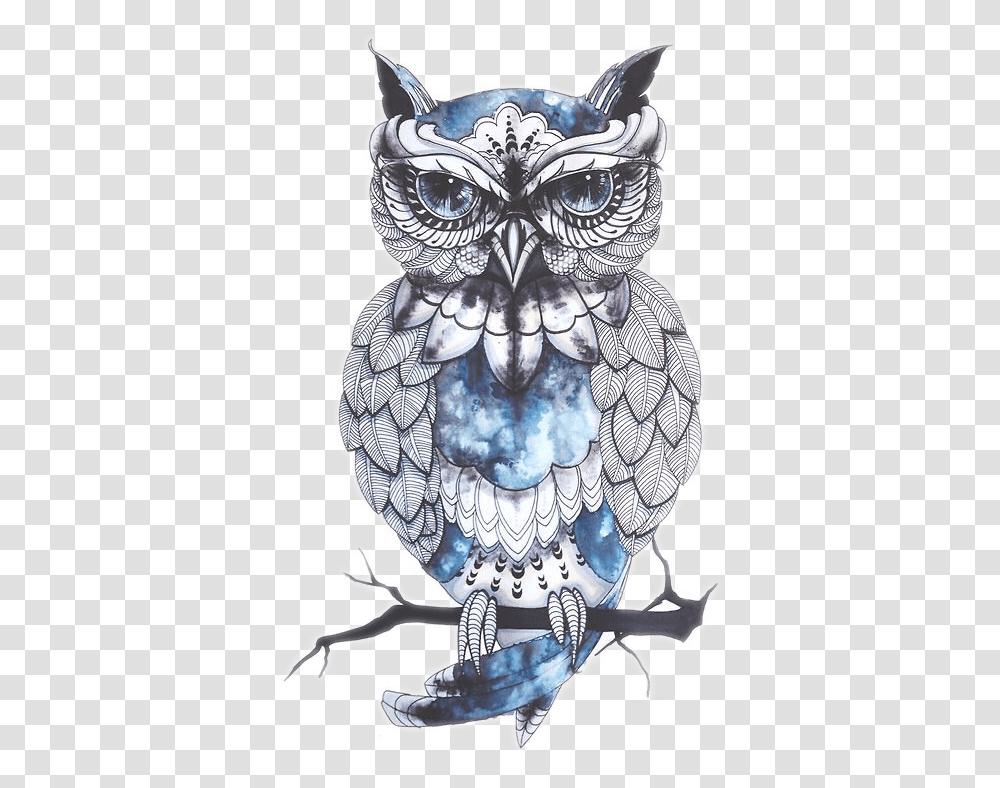 Icon, Owl, Bird, Animal Transparent Png