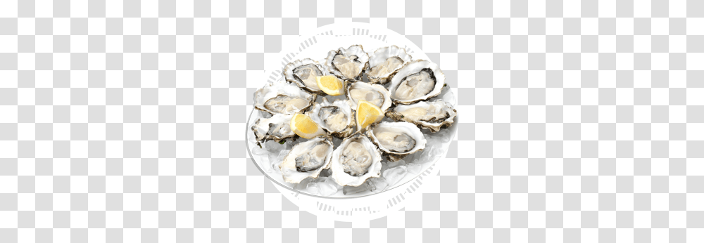 Icon Oysters Central Seafoods Oysters, Sea Life, Animal, Seashell, Invertebrate Transparent Png