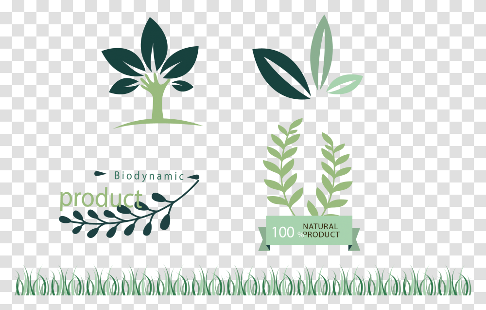 Icon, Plant Transparent Png