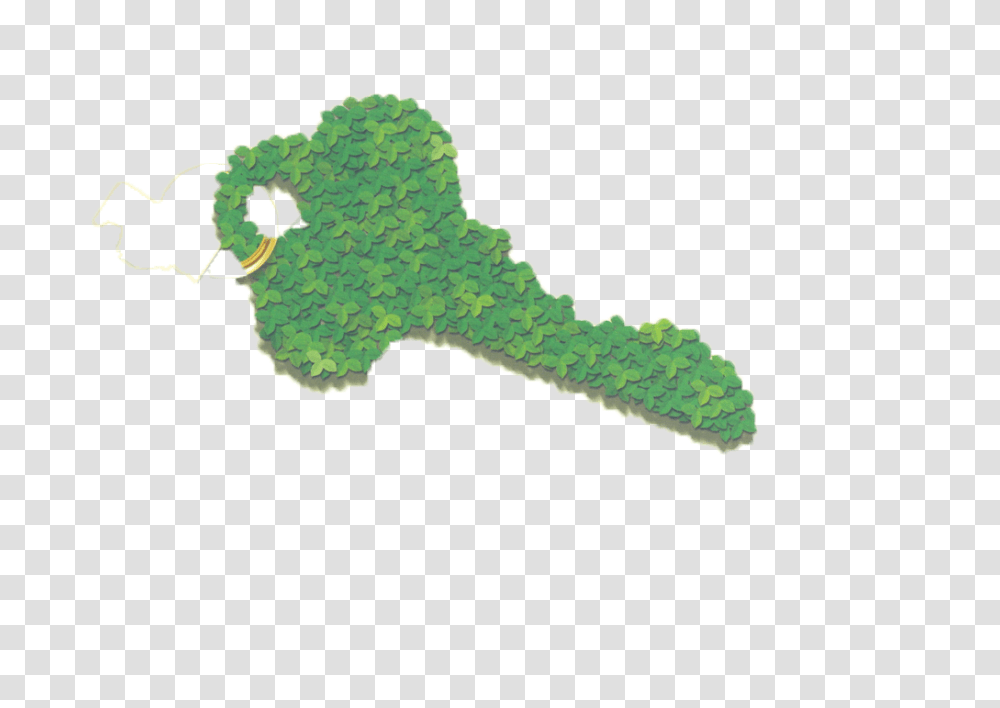 Icon, Plant, Land, Outdoors Transparent Png