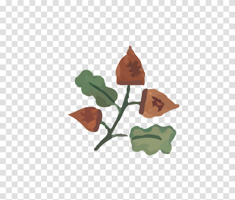 Icon, Plant, Leaf, Rose Transparent Png