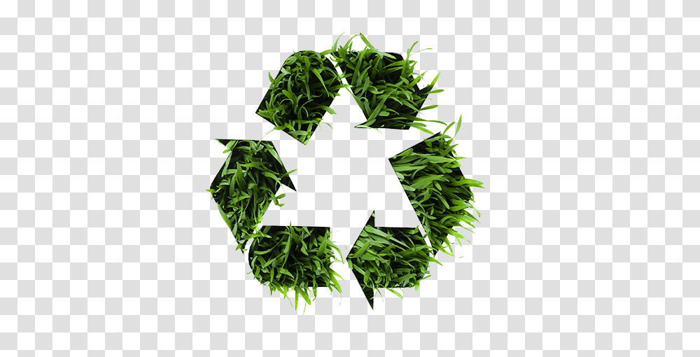 Icon, Recycling Symbol, Plant Transparent Png