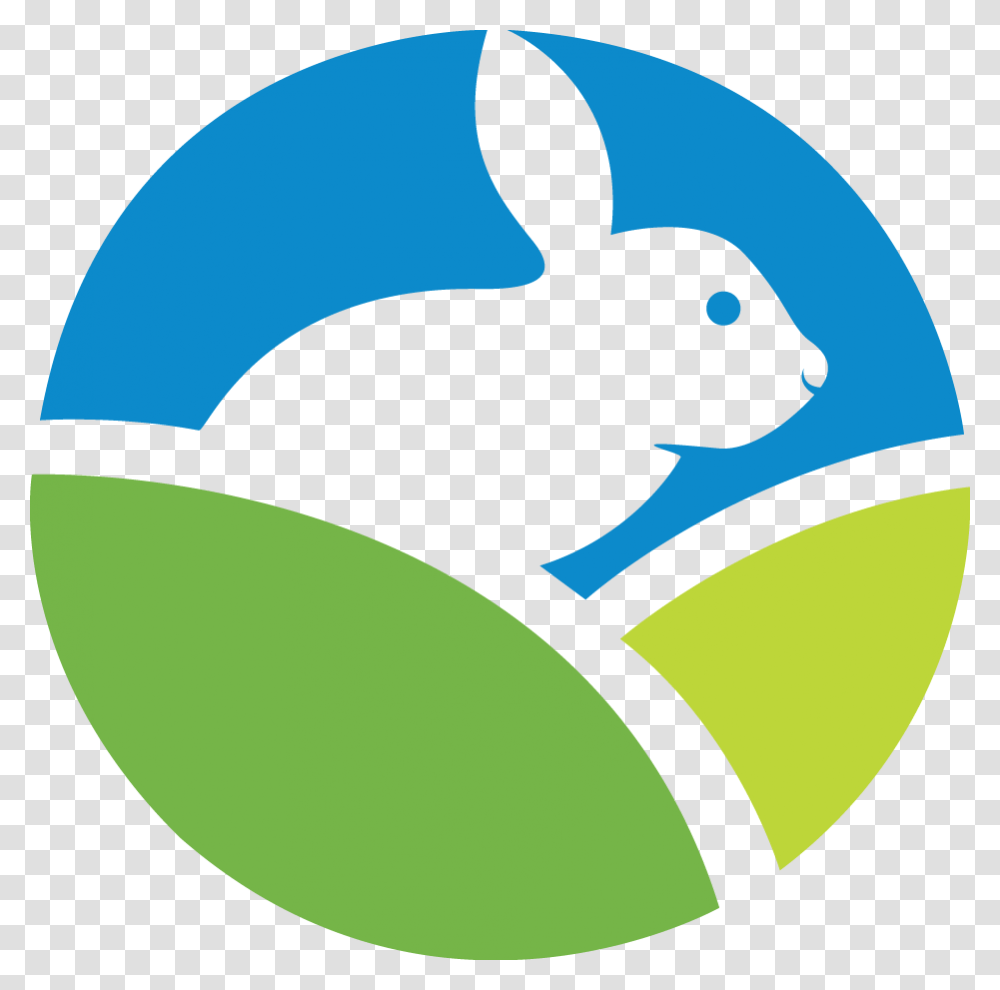 Icon, Rodent, Mammal, Animal, Rabbit Transparent Png