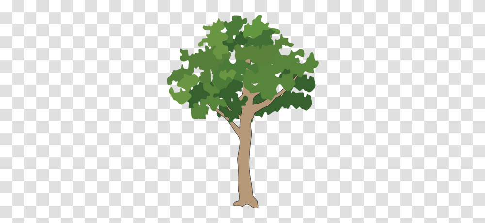 Icon Small Tree Download Vector Tree Icon, Plant, Tree Trunk, Military Uniform, Oak Transparent Png