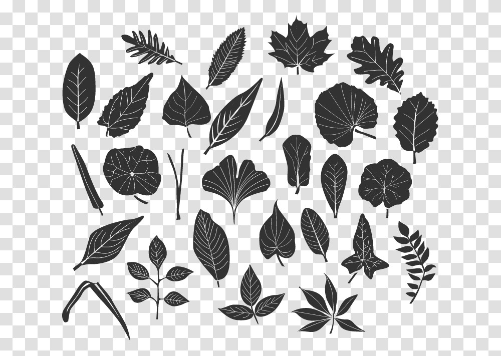 Icon, Stencil, Leaf, Plant Transparent Png