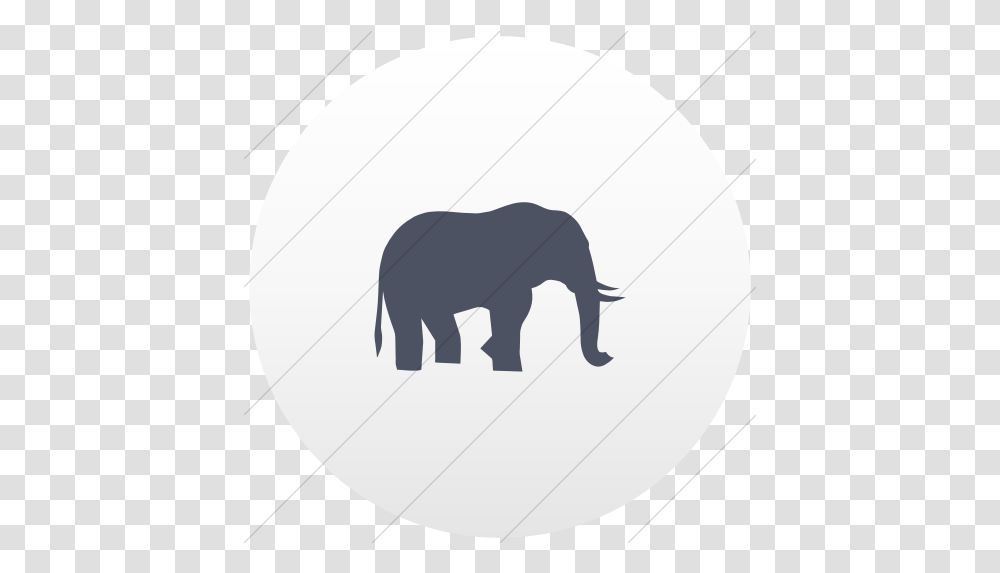 Iconsetc Flat Circle Blue Gray Vector Elephant, Wildlife, Animal, Mammal, Buffalo Transparent Png