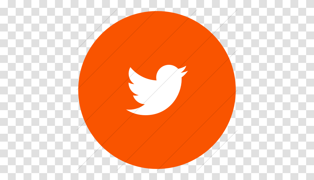 Iconsetc Flat Circle White On Orange Foundation Social Twitter, Plant, Tree, Leaf, Pumpkin Transparent Png