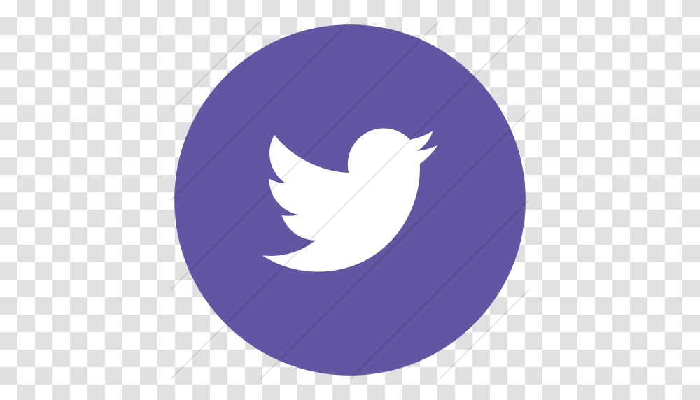 Iconsetc Flat Circle White On Purple Social Media Twitter Icon, Plant, Balloon, Tree, Sphere Transparent Png