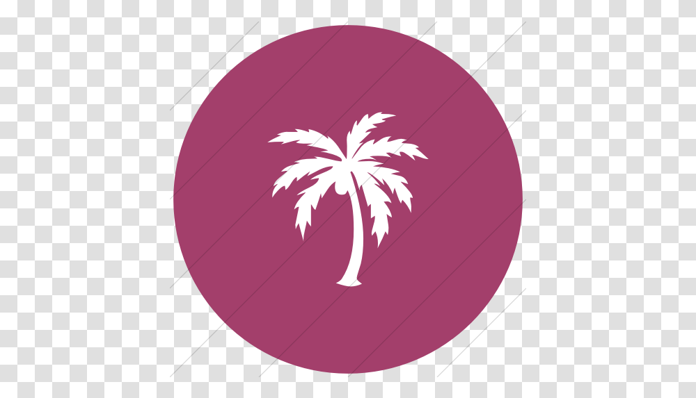 Iconsetc Flat Circle White Palm Tree Yellow Icon, Ball, Sphere, Bowling, Plant Transparent Png