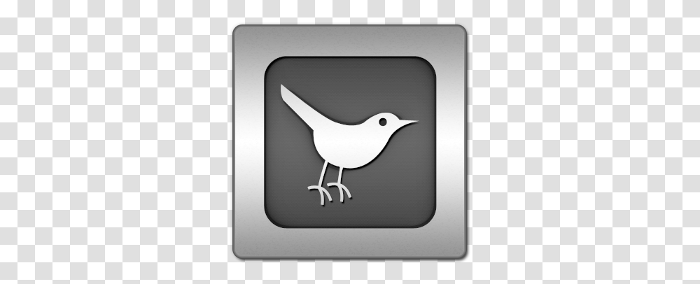 Iconsetc Twitter Bird3 Square Icon In Twitter Bird Icon, Monitor, Screen, Electronics, Display Transparent Png