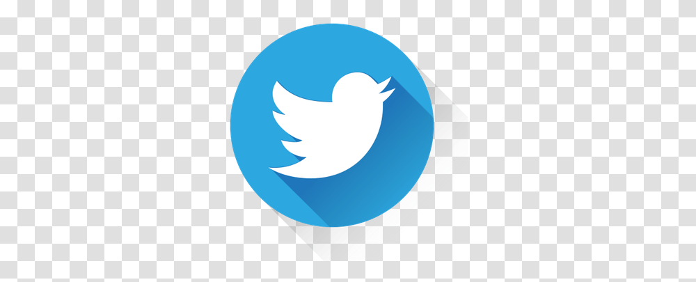 Ict - Cbs Primary Nenagh Format Twitter Logo, Text, Graphics, Art, Outdoors Transparent Png