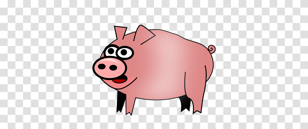 Id Canvases Pig Illustration, Mammal, Animal, Hog, Boar Transparent Png