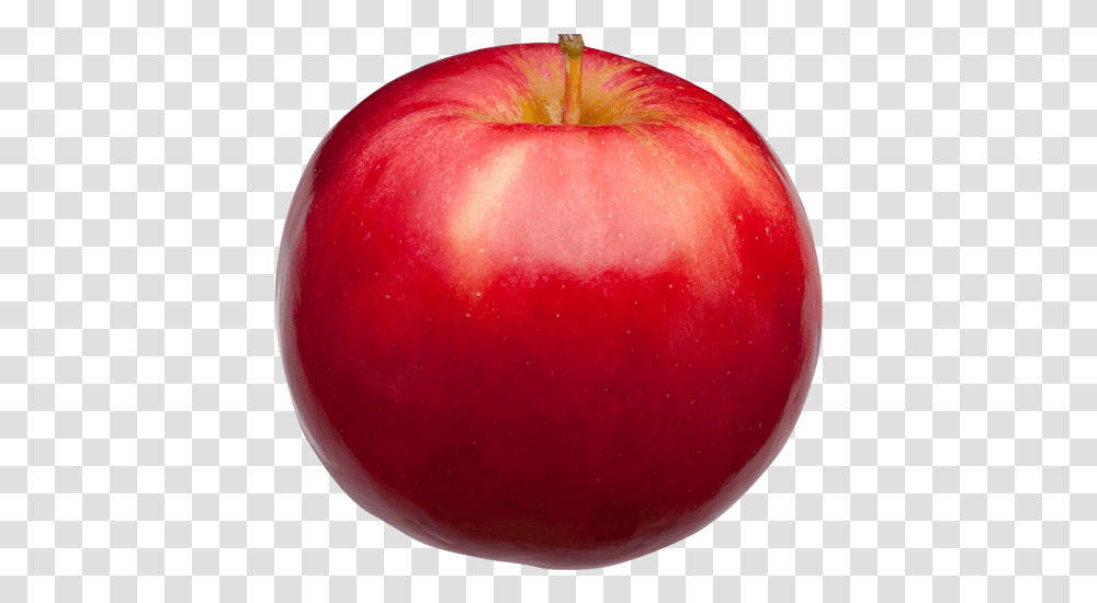 Ida Red Apples Mcintosh, Fruit, Plant, Food Transparent Png