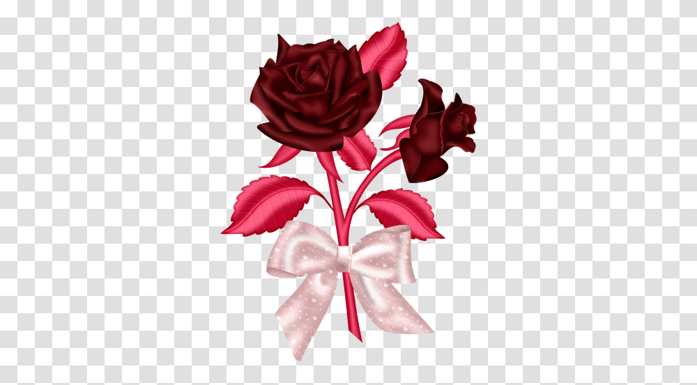 Idea By Stephanie Mocabee, Plant, Flower, Blossom, Rose Transparent Png