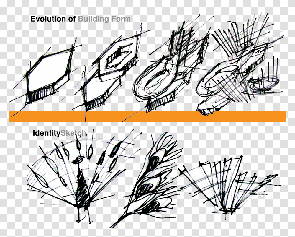 Idea Development Sketches Concept Building Form Evolution, Bird, Animal, Comics, Book Transparent Png